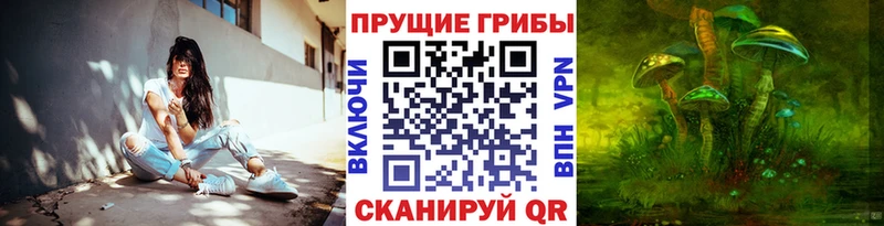 купить наркотики сайты  гидра ССЫЛКА  Галлюциногенные грибы ЛСД  Райчихинск 
